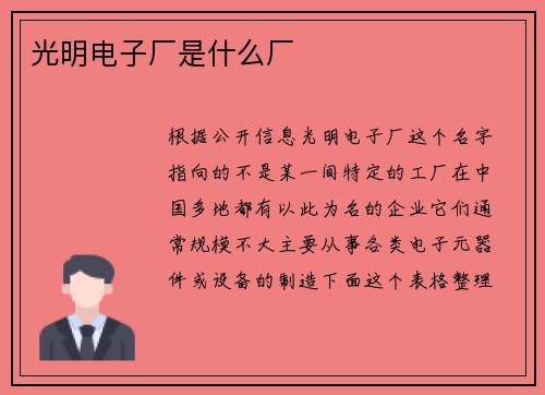光明电子厂是什么厂